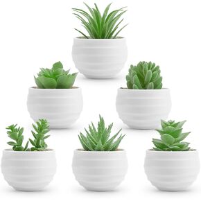 Der Rose 6 Pack Fake Plants Small Realistic Succulents Plants Artificial for Home Room Decor Indoor