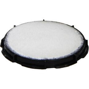 Motorcraft- FS100 Filter