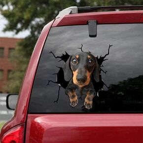 Dog Decal 3D Car Decal Sloth Crack car Sticker Decoration for Car Windows，Bumper Stickers, Refrigerator Stickers, Toilet Stickers