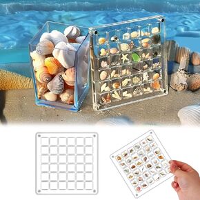 2 Pcs Acrylic Magnetic Seashell Display Box, 36 Grids Clear Seashell Storage Box with Lid, Jewelry Display Cases Container, Small Craft Organizers Container for Shell Trinket Bead Nail Jewelry