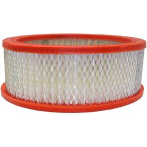 FRAM Extra Guard CA146 Replacement Engine Air Filter for Select Dodge, Chrysler and Plymouth Models, Provides Up to 12 Months or 12,000 Miles Filter Protection