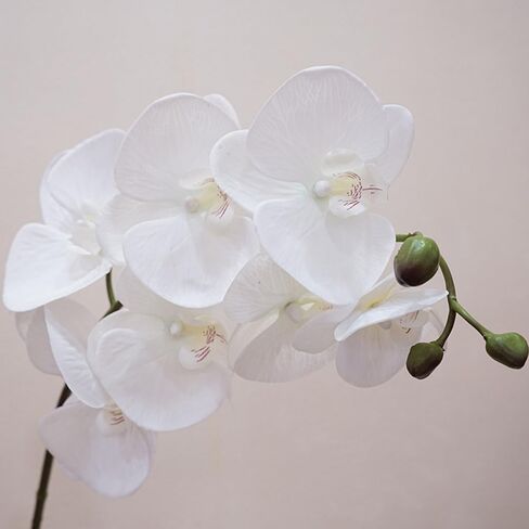 IPOPU Champagne Orchid Artificial Flowers 34.3" Real Touch Fake Orchid Latex Champagne Flowers Phalaenopsis Branches for Home Party Wedding Bridal Shower Decoration, 2pcs Champagne Pink in Kuwait