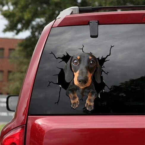 Dog Decal 3D Car Decal Sloth Crack car Sticker Decoration for Car Windows，Bumper Stickers, Refrigerator Stickers, Toilet Stickers in Kuwait