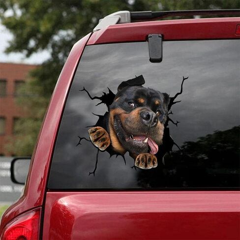 Dog Decal 3D Car Decal Sloth Crack car Sticker Decoration for Car Windows，Bumper Stickers, Refrigerator Stickers, Toilet Stickers in Kuwait