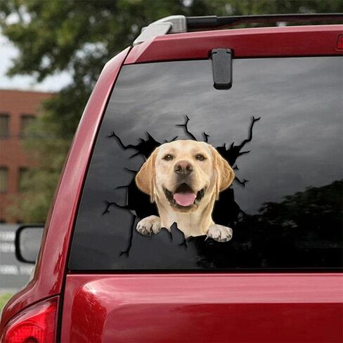 Dog Decal 3D Car Decal Sloth Crack car Sticker Decoration for Car Windows，Bumper Stickers, Refrigerator Stickers, Toilet Stickers in Kuwait