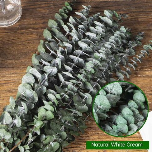 30 قطعة من سيقان الأوكالبتوس المجففة للاستحمام، 17 بوصة من أوراق الأوكالبتوس الطازجة الطبيعية فروع معلقة، حزمة نبات الأوكالبتوس الحية 9oz للحمام المنزلي والحمامات وديكور مزهرية حائط الزفاف، أساسيات الحمام in Kuwait