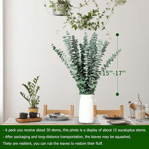 30 قطعة من سيقان الأوكالبتوس المجففة للاستحمام، 17 بوصة من أوراق الأوكالبتوس الطازجة الطبيعية فروع معلقة، حزمة نبات الأوكالبتوس الحية 9oz للحمام المنزلي والحمامات وديكور مزهرية حائط الزفاف، أساسيات الحمام in Kuwait