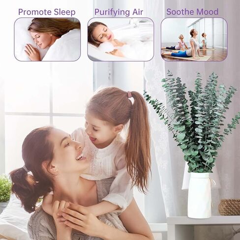 30 قطعة من سيقان الأوكالبتوس المجففة للاستحمام، 17 بوصة من أوراق الأوكالبتوس الطازجة الطبيعية فروع معلقة، حزمة نبات الأوكالبتوس الحية 9oz للحمام المنزلي والحمامات وديكور مزهرية حائط الزفاف، أساسيات الحمام in Kuwait