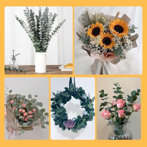 30 قطعة من سيقان الأوكالبتوس المجففة للاستحمام، 17 بوصة من أوراق الأوكالبتوس الطازجة الطبيعية فروع معلقة، حزمة نبات الأوكالبتوس الحية 9oz للحمام المنزلي والحمامات وديكور مزهرية حائط الزفاف، أساسيات الحمام in Kuwait