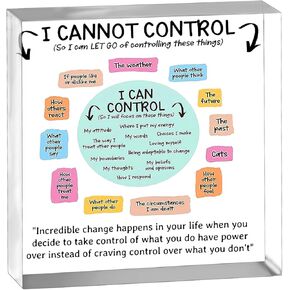 Cool Things for My 0ffice Mental Health Gifts Office Room Home Decor for Things I Can Control Acrylic Heart Therapist Gifts Office Desk Decorations for Bedroom Desktop Therapist School Counselor Office
