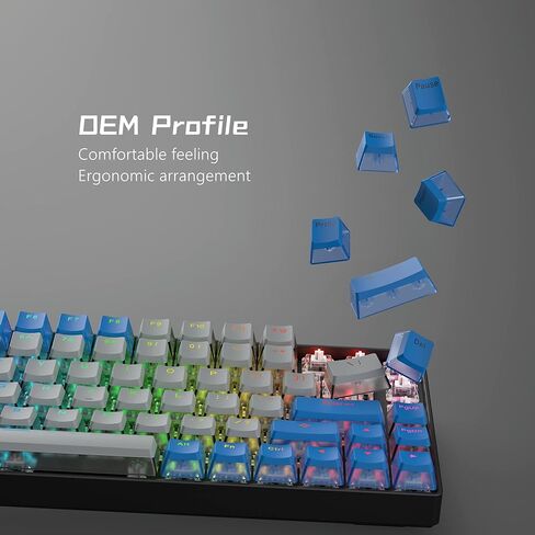 Womier Pudding Keycaps - PBT Shine Through Keycaps, 165 Keys Keycaps Set, Custom Keycaps for 61/68/84/87/82/100 Cherry Gateron MX Switches Mechanical Keyboard, Black in Saudi Arabia