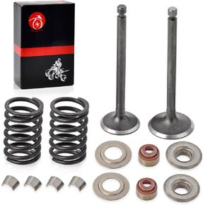 Intake Exhaust Valve Seal Spring Cotter Retainer Seat Kit For Club Car Golf Cart DS Predent FE290 290cc Engine 1992-Up 1016447 1016448
