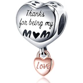 HappyStar 925 Sterling Silver Charm Beads fits Snake Charm Bracelet Necklace，Pendants DIY Jewelry Gift For Women （With one Spacer Bead Charms）