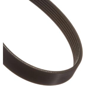 Motorcraft Drive Belt