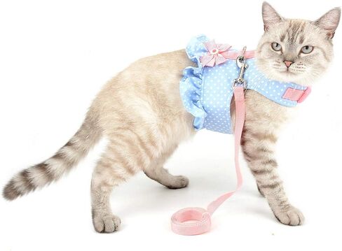 SELMAI Cat Harness and Leash for Walking Escape Proof Cherry Vest Harness for Small Dogs Boys Girls Kitten Puppies Easy on Jacket Soft Padded Cat Vest for Walking Outdoor Spring Autumn XS in Saudi Arabia