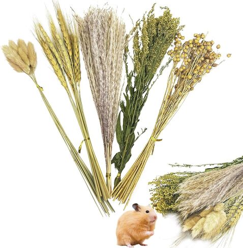 PINVNBY Natural Flower & Herb Bedding Habitat Decor for Hamsters Gerbils Mice Lemming Degus or Other Small Pets (Flower Version) in Kuwait