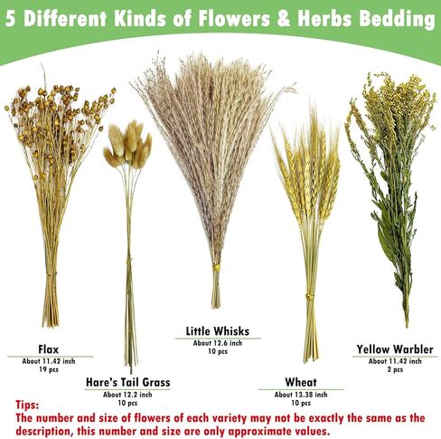 PINVNBY Natural Flower & Herb Bedding Habitat Decor for Hamsters Gerbils Mice Lemming Degus or Other Small Pets (Flower Version) in Kuwait