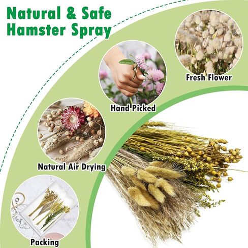 PINVNBY Natural Flower & Herb Bedding Habitat Decor for Hamsters Gerbils Mice Lemming Degus or Other Small Pets (Flower Version) in Kuwait