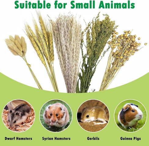 PINVNBY Natural Flower & Herb Bedding Habitat Decor for Hamsters Gerbils Mice Lemming Degus or Other Small Pets (Flower Version) in Kuwait