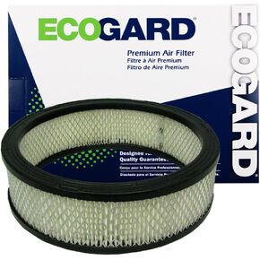 ECOGARD XA3195 Premium Engine Air Filter Fits Chevrolet S10 4.3L 1988-1995, S10 2.8L 1986-1993, Astro 4.3L 1985-1994, S10 Blazer 4.3L 1988-1994, S10 Blazer 2.8L 1986-1989, Lumina APV 3.1L 1990-1995