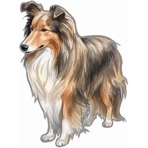 Yoonek Graphics Shetland Sheepdog Dog Vinyl Decal Sticker for Car, Laptop, Tumbler, More. #007354-4"