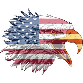 Rogue River Tactical Large 10"x6" American Eagle USA Flag Car Decal Window Die Cut Patriotic Auto Bumper Sticker Vinyl Decal for Car Truck RV SUV Boat Support US Military