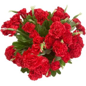 Rikyo 4 Bunches Artificial Silk Flower Carnations,14 inch Bouquet and Green Leaf for Home Party,Bridal Wedding Holding Flowers Festival Decoration with 12 Per Bunch Flower (Pink+Red)