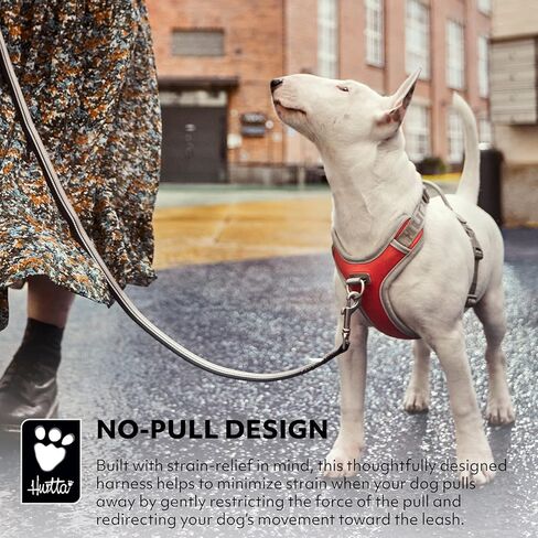 سرج هورتا فينتشر مانع للسحب للكلاب، نبق، 45.72 سم - 60.96 سم in Kuwait