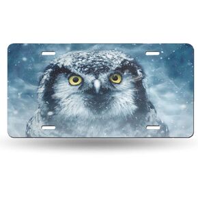 Snow Wildlife Owl License Plate Front Car Decorative Novelty Auto Plate Car Tag Vanity Gift Metal Aluminum Plate for Women/Man 12x6 inch Wall Decor