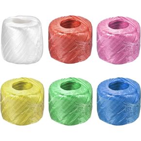 MECCANIXITY Polyester Nylon Plastic Rope Twine Household Bundled for Packing Gardening Craft,150m Length,6 Colors Pack of 6