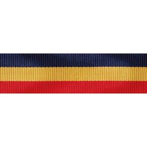 MEDALS OF AMERICA EST. 1976 Navy And Marine Corps Presidential Unit Citation