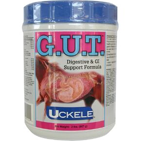 Uckele by SmartPak Gut™ Powder | Healthy Gut Probiotics for Horses | Equine Prebiotic & Probiotic Powder | Horse Stomach Supplement | 10 lb Bucket