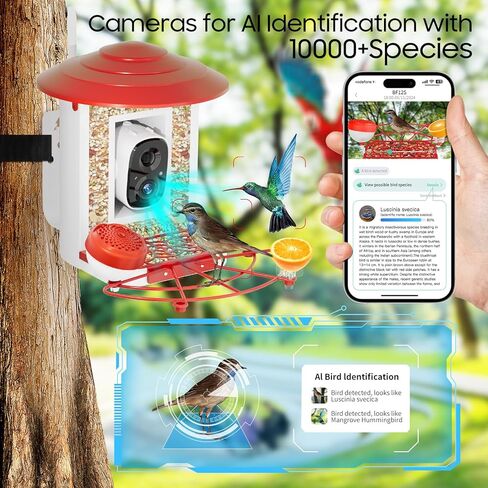 وحدة تغذية الطيور الذكية بتقنية الذكاء الاصطناعي مع كاميرا تعمل بالطاقة الشمسية، وحدة تغذية الطيور Camii المزودة بكاميرا عالية الدقة 2K، تلتقط كل طائر وتأتي وتعرف على أكثر من 10000 نوع من الطيور، ومقاطع فيديو الطيور على متجر السحابة ومراقبة الطيور على اله in Kuwait