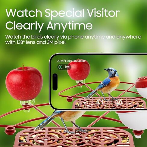 وحدة تغذية الطيور الذكية بتقنية الذكاء الاصطناعي مع كاميرا تعمل بالطاقة الشمسية، وحدة تغذية الطيور Camii المزودة بكاميرا عالية الدقة 2K، تلتقط كل طائر وتأتي وتعرف على أكثر من 10000 نوع من الطيور، ومقاطع فيديو الطيور على متجر السحابة ومراقبة الطيور على اله in Kuwait