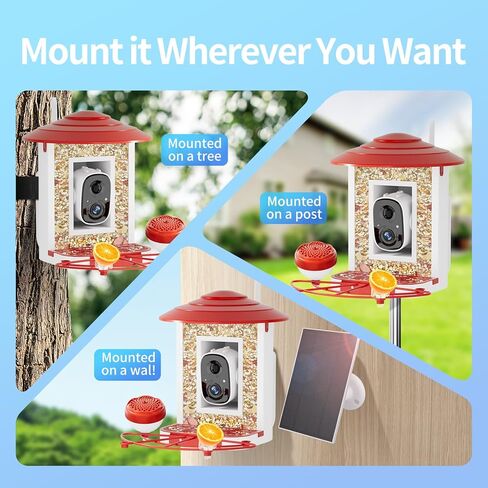 وحدة تغذية الطيور الذكية بتقنية الذكاء الاصطناعي مع كاميرا تعمل بالطاقة الشمسية، وحدة تغذية الطيور Camii المزودة بكاميرا عالية الدقة 2K، تلتقط كل طائر وتأتي وتعرف على أكثر من 10000 نوع من الطيور، ومقاطع فيديو الطيور على متجر السحابة ومراقبة الطيور على اله in Kuwait