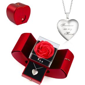 Preserved Roses in A Box, Forever Red Rose Heart Box to My Love, Eternal Real Rose with Photo Necklace Cherish These