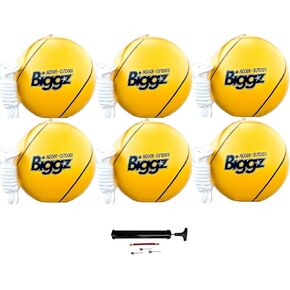 Biggz Tetherball (6 Pack) with (1) Hand Pump