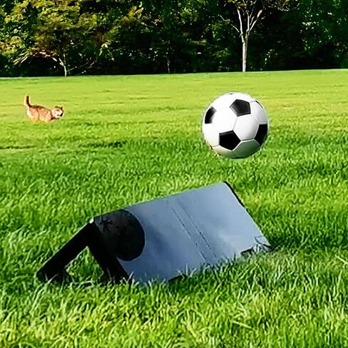 لوح تدريب Royxen Soccer Rebounder كبير قابل للطي بزوايا مزدوجة لتدريب كرة القدم in Kuwait