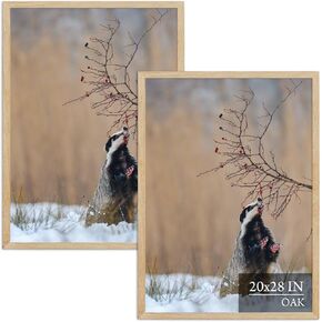 20x28 Oak Wood Poster Frame 2 Pack, Natural Solid Wood Photo Picture Frame for Horizontal or Vertical Wall Mounting, Hanging Hardware Included