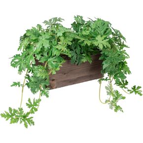MyGift Vibrant Lifelike Artificial Plant Pelargonium Graveolens Leafy Vine Greenery in Burnt Brown Solid Wood Rectangular Planter Box ﻿