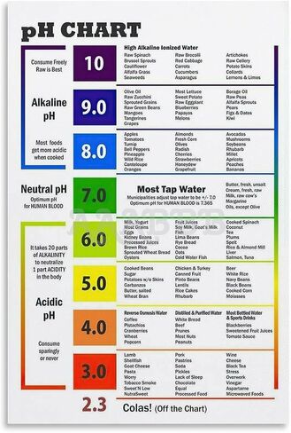 Alkaline Foods Chart,Alkaline Diet Balance Sheet PH Food Chart Poster PH Chart Poster Canvas Painting Wall Art Poster for Bedroom Living Room Decor 12x18inch(30x45cm) Unframe-style in Saudi Arabia