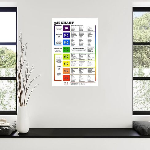 Alkaline Foods Chart,Alkaline Diet Balance Sheet PH Food Chart Poster PH Chart Poster Canvas Painting Wall Art Poster for Bedroom Living Room Decor 12x18inch(30x45cm) Unframe-style in Saudi Arabia