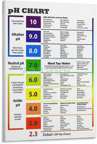 Alkaline Foods Chart,Alkaline Diet Balance Sheet PH Food Chart Poster PH Chart Poster Canvas Painting Wall Art Poster for Bedroom Living Room Decor 12x18inch(30x45cm) Unframe-style in Saudi Arabia