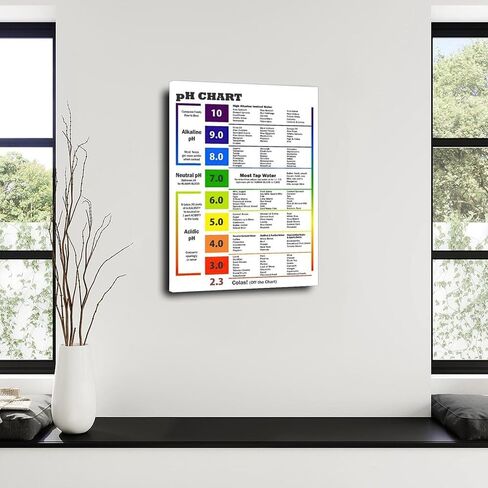 Alkaline Foods Chart,Alkaline Diet Balance Sheet PH Food Chart Poster PH Chart Poster Canvas Painting Wall Art Poster for Bedroom Living Room Decor 12x18inch(30x45cm) Unframe-style in Saudi Arabia