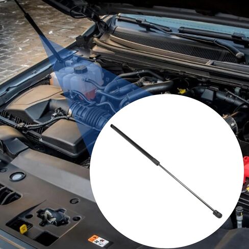 2 قطعة غطاء محرك السيارة الأمامي دعم رفع لرينجر 2023 2024 ، الدعامات الصدمات ، نوابض الغاز ، الفولاذ المقاوم للصدأ in Kuwait