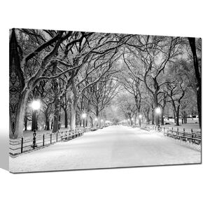 sechars Winter Canvas Wall Art Peaceful Landscape Painting New York Central Park Picture Printed on Canvas Modern Home Decoration,Framed Canvas Art Ready to Hang,-24"x36"