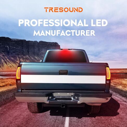 Tresound Tail Light + 3rd Brake Lamp for Chevy Avalanche 1500 2500 2002-2006, Third High Mount Stop Light Rear LED Taillight Assembly, 15771437, 15092493 in Saudi Arabia