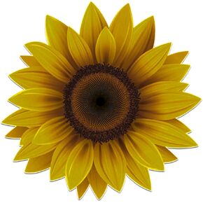 5.7" Sunflower Vinyl Sticker Decal, Waterproof Bumper Sticker Use on Wall Window Waterbottle Laptop Luggage Cars Trucks