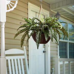 Pure Garden Faux Boston Fern – Hanging Natural and Lifelike Artificial Arrangement and Imitation Greenery with Basket for Home or Office Décor