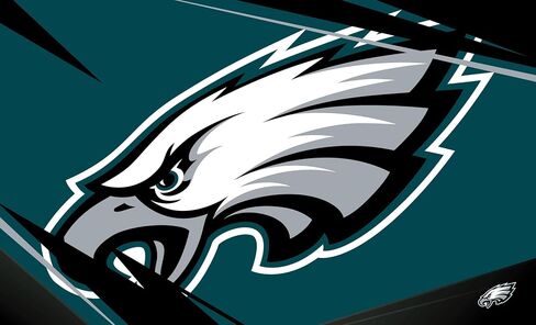 NORTHWEST The Company NFL Philadelphia Eagles Washable Rug, 36" x 60", Shredder, Team Colors in Saudi Arabia